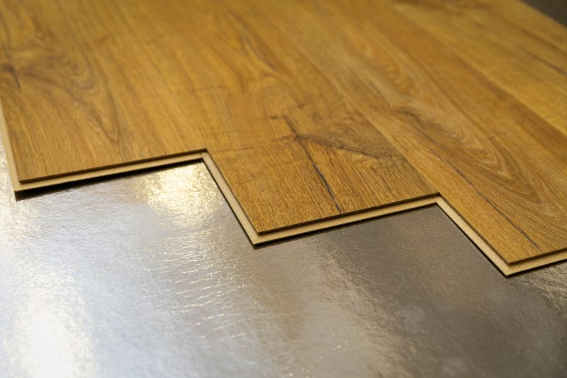 Laminate Floor Replacement in Frankford, DE